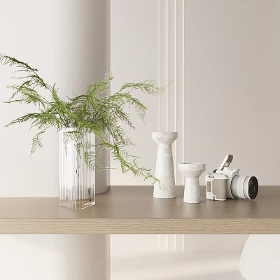 Decorative Ornament Set With Transparent Vase Green Fern White Ornaments Camera Lens On Wooden Shelf 3d model