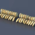 Oval Brownish Yellow Cookies With Dark Spots Neatly Arranged In Two Rows On Gray Background