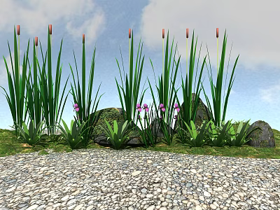 Tall Green Grass And Purple Flowers With Stones On Gravel Ground Under Blue Sky 3d model