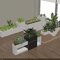 Modern Indoor Plant Combinations in Stylish Planters with Natural Light and Wooden Floors