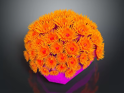 Bright Orange Aquatic Coral with Pink Base and Spherical Flower Shaped Form 3d model