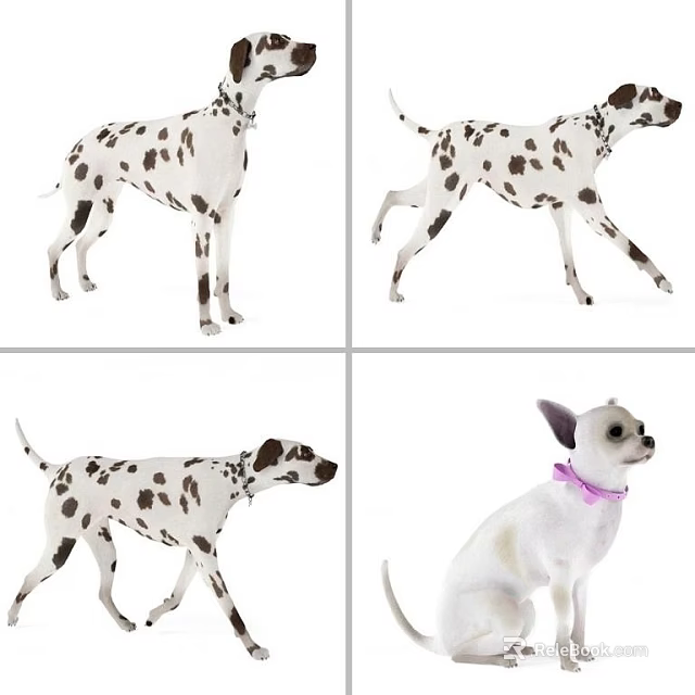 Spotted Reptile Species In Various Poses And Movements On White Surface 3d model 