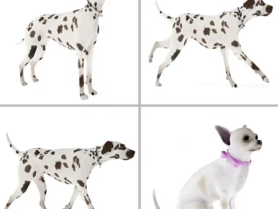 Spotted Reptile Species In Various Poses And Movements On White Surface 3d model