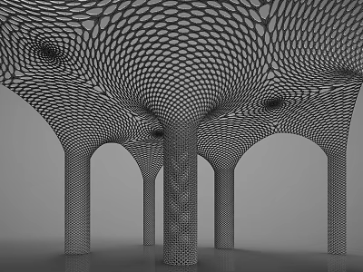 Intricate Geometric Latticed Architectural Structure With Arched Columns And Honeycomb Design 3d model