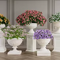 Various Colored Potted Plants On White Stone Pedestals Against Striped Gray Walls And Wooden Floor