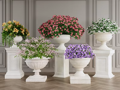 Various Colored Potted Plants On White Stone Pedestals Against Striped Gray Walls And Wooden Floor 3d model