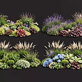 Diverse Plant Combinations With Purple Flowers Blue Blooms Green Foliage And Herbaceous Plants