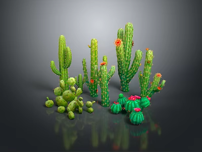 Various Green Cactus Plants with Red Flowers Including Tall Columnar and Round Spherical Types 3d model
