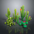 Various Green Cactus Plants with Red Flowers Including Tall Columnar and Round Spherical Types
