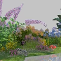 Colorful Garden Flowers With Blue Purple Yellow Blooms Water Reflection Green Grass And Rocks