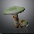Green Mushroom Organ Structures With Hairy Edges And Labeled Stems Size 250 150