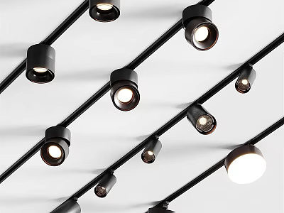 Adjustable Modern Black Track Mounted Downlights and Spotlights for Interior Ceiling Lighting 3d model