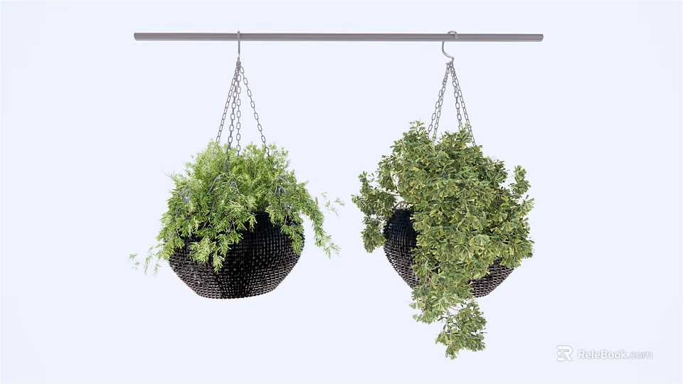 Lush Green Hanging Basket Plants In Black Baskets Hanging From Rod 3d model 