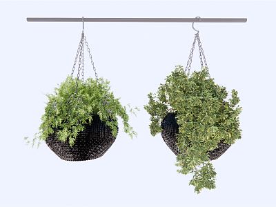 Modern hanging basket hanging flower pot plant potted lifting plant model