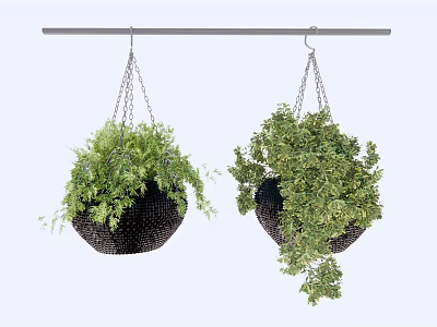 Lush Green Hanging Basket Plants In Black Baskets Hanging From Rod 3d model