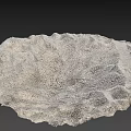 Exquisite Garden Ornaments Featuring Intricate Sand Textures and Natural Wind Patterns
