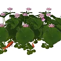 Aquatic Plants With Pink Lotus Flowers Green Lily Pads And Goldfish