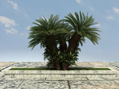 Lush Palm Trees Growing on Stone Platform Against Blue Sky With White Clouds 3d model