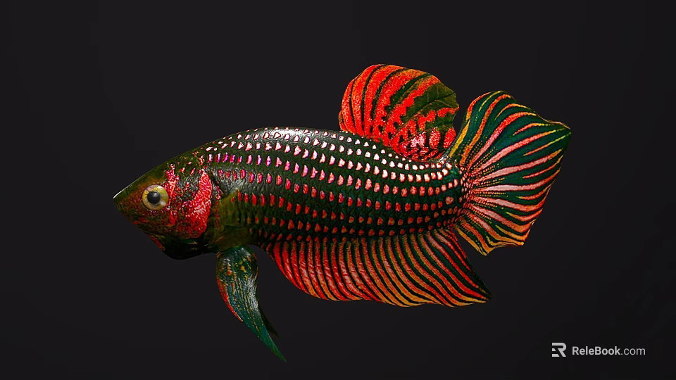 Colorful Ornamental Freshwater Aquatic Fish with Red Green Black Vibrant Fins and Spotted Scales 3d model 