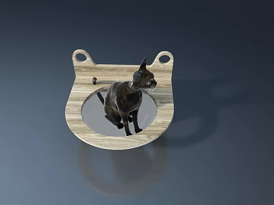 Wooden Swing Door With Cat Shaped Design And Black Cat Figure 3d model