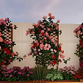 Colorful Climbing Roses And Mixed Flowers On Garden Wall With Pink Red Blooms