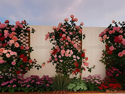 Colorful Climbing Roses And Mixed Flowers On Garden Wall With Pink Red Blooms 3d model