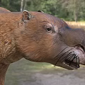 Prehistoric Reptile Model With Brown Furry Body Standing In Natural Grassland