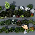 Various Types of Bushes with Different Shapes and Decorative Stones on Gray Background