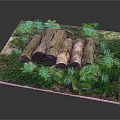 Natural Wooden Logs Placed on Green Mossy Grass with Fresh Leaves