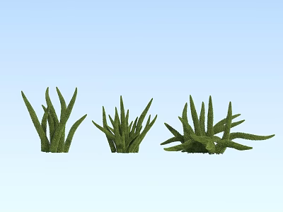 Three Different Green Grass Plants with Various Leaf Shapes and Growth Forms 3d model