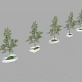 Multiple Tree Planters With Green Trees Arranged On Paved Ground With Shadows 3d model