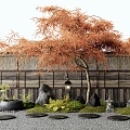 Japanese-style feather maple red maple tree landscape tree courtyard landscape sketch water pot tingbu plant landscape stone wall 3d model