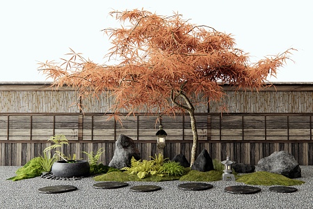 Japanese-style feather maple red maple tree landscape tree courtyard landscape sketch water pot tingbu plant landscape stone wall 3d model