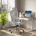 Ergonomic White Mesh Office Chair in Modern Home Office Desk Setup with Laptop and Plants