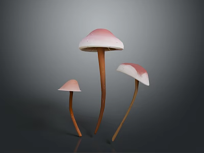 Three Mushroom Plants With Pink Caps White Edges And Brown Stems On Dark Background 3d model