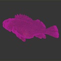 Modern fish grouper marine animals deep sea fish 3d model