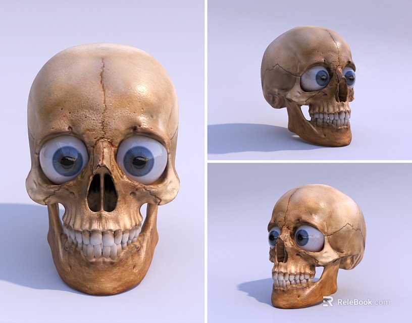 Detailed Medical Device Anatomical Skull Model With Blue Eyes Three Angle Views 3d model 