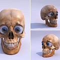 Modern Skull Skull 3d model