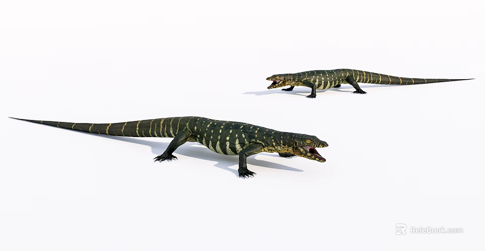 Two Green Yellow Spotted Monitor Lizards With Open Mouths And Active Posture 3d model 
