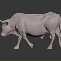 Pink Bull with Long White Horns Standing on Black Background with Reflection