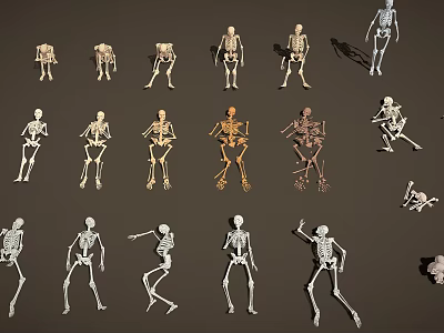 Medical Equipment Skeleton Models With Multiple Different Poses For Anatomical Education And Training 3d model