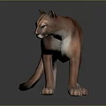 Realistic Puma Walking Pose With Brown Sleek Fur On Dark Reflective Surface