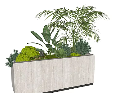 Light Rectangular Planter With Mixed Potted Plants Palm Leaves And Green Foliage 3d model