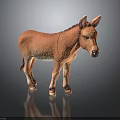 Realistic Brown Donkey Model Standing On Smooth Surface With Clear Reflection