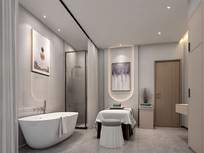 SPA Sauna Modern Interior Design With Bathtub Massage Table Shower Area And Decorative Paintings 3d model