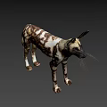 African Wild Dog With Distinctive Spotted Coat And Large Ears Standing