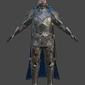 Weapon Knight 3d model