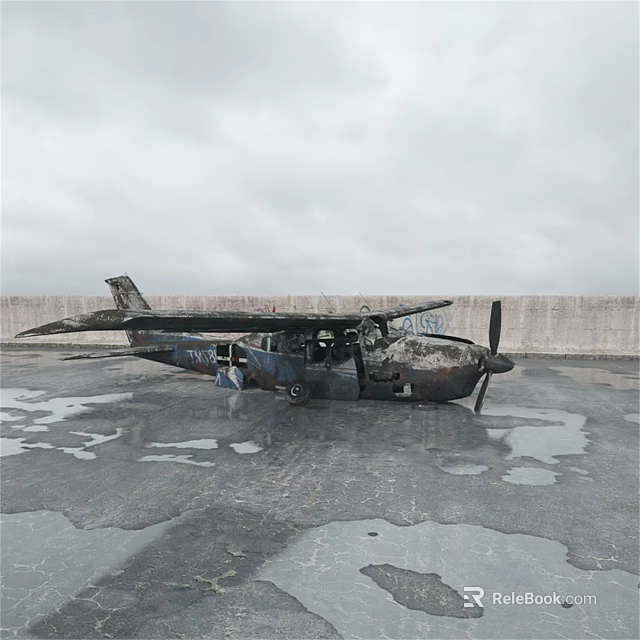 Burnt Airliner With Scorched Fuselage On Waterlogged Ground And Grey Sky 3d model 