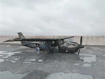 Burnt Airliner With Scorched Fuselage On Waterlogged Ground And Grey Sky 3d model