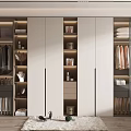 Modern Wardrobe Interior Design With Glass Doors Featuring Hanging Folded Clothes Storage Boxes And Shoes